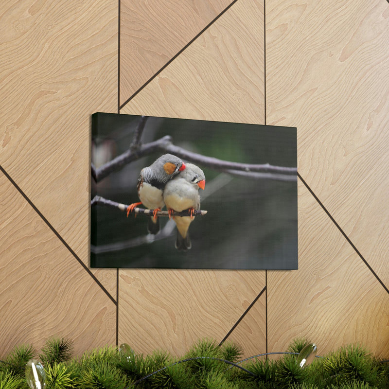 No Frame Print on Canvas, 27.94cm H x 35.56cm W