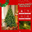 Arbres de noël