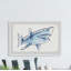 «Shark Outline», reproduction encadrée-50107399