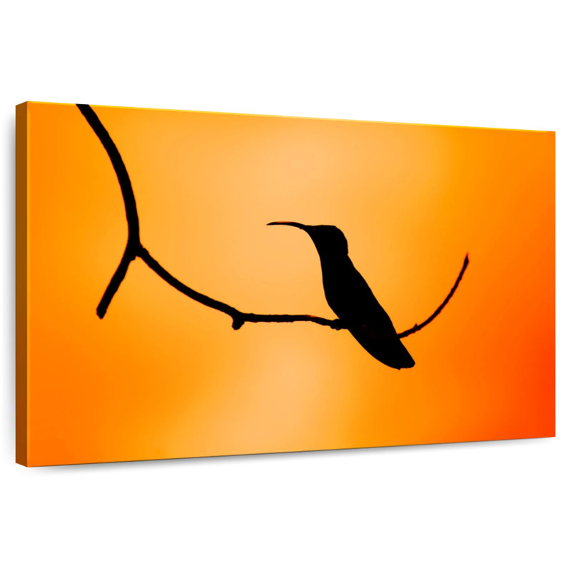 Colibri noir Crowle, 8" H x 12" W