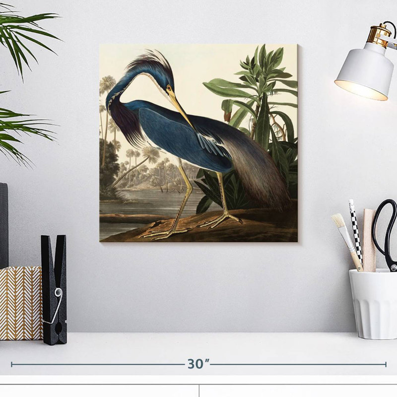 Brampt Louisiana Heron, 16" H x 16" W