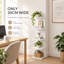 127.5 cm H x 30 cm W Corner Bookcase