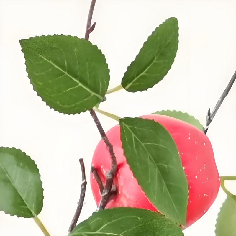 Ornements de fleurs simulées