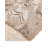 Oriental Machine Woven Polypropylene Indoor / Outdoor Area Rug in Natural-1839540693