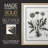 Dandelion II Framed Print - Solid Wood-1967159563-1967159610