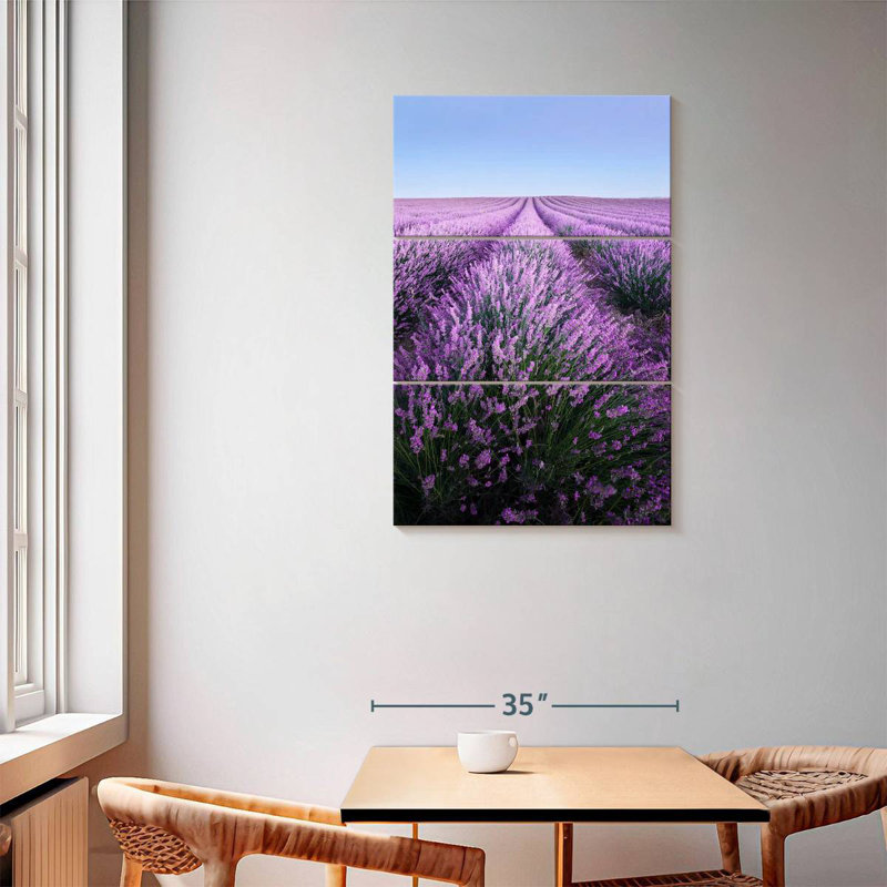 Lavande française Alvord Provence