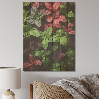 Herbs Basil Vibrance II - Floral Herbs On Wood Print