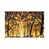 Wrapped Canvas
