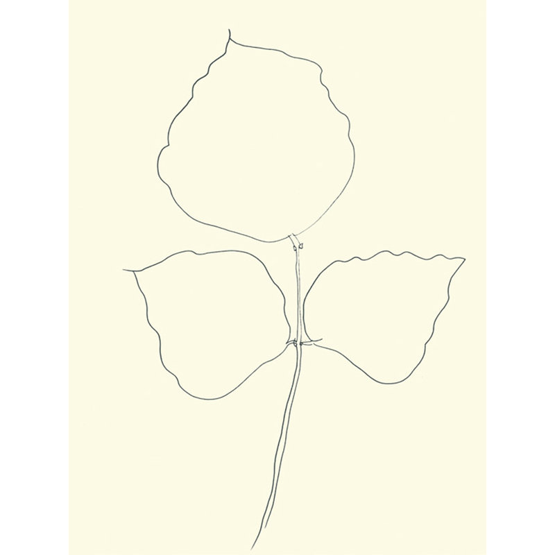 Fueille d'Arbre-Corail, MER-KEL468