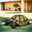 Statues de jardin | Grande statue de tortue pour le porche de jardin intérieur extérieur | Vert forêt | Ciment béton