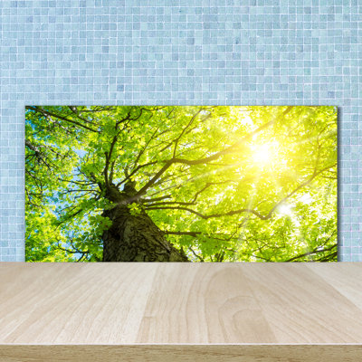 Lisvet 50cm W x 100cm L Glass Peel and Stick Panel