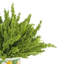Heather Arrangement In A Glass Vase With Lemon Label