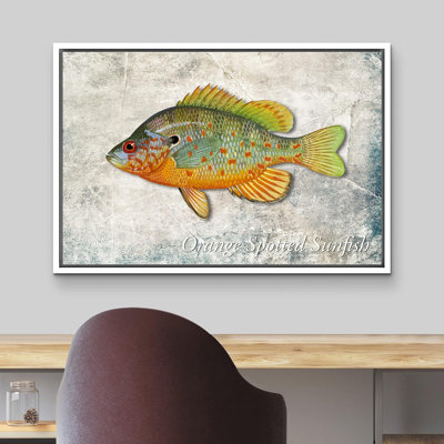Crapaud orange sur fond de granit, vie marine, réalisme nautique, ultra sur toile