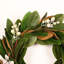 Couronne de porte de 22 po avec des baies de magnolia