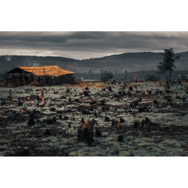 Madagascar by Mihtiander - Wrapped Canvas Print, 30cm H x 46cm W