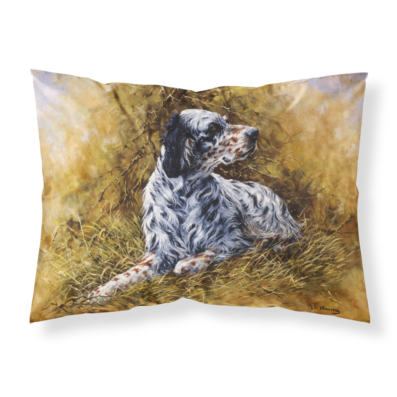 Taie d’oreiller anglais setter