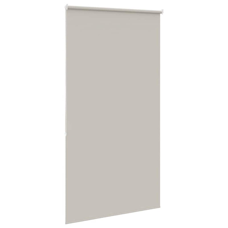 Room Darkening Roller Shade, Light Grey, 60 x 240 cm, without Cassette
