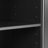 Joshoua Accent Cabinet-2004512473