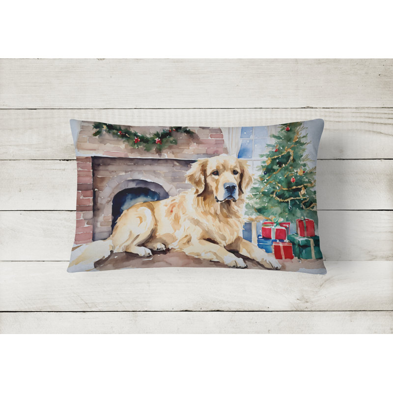 Other/No Pattern Outdoor Throw Pillow