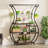 Plant Stand 6 Tier-661515195
