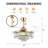 Jadarien Ceiling Fan with LED Lights-1009666308