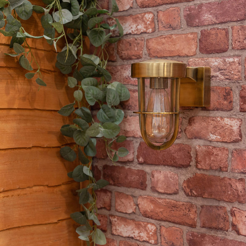 Brinkema 12cm H Outdoor Armed Sconce, Gold