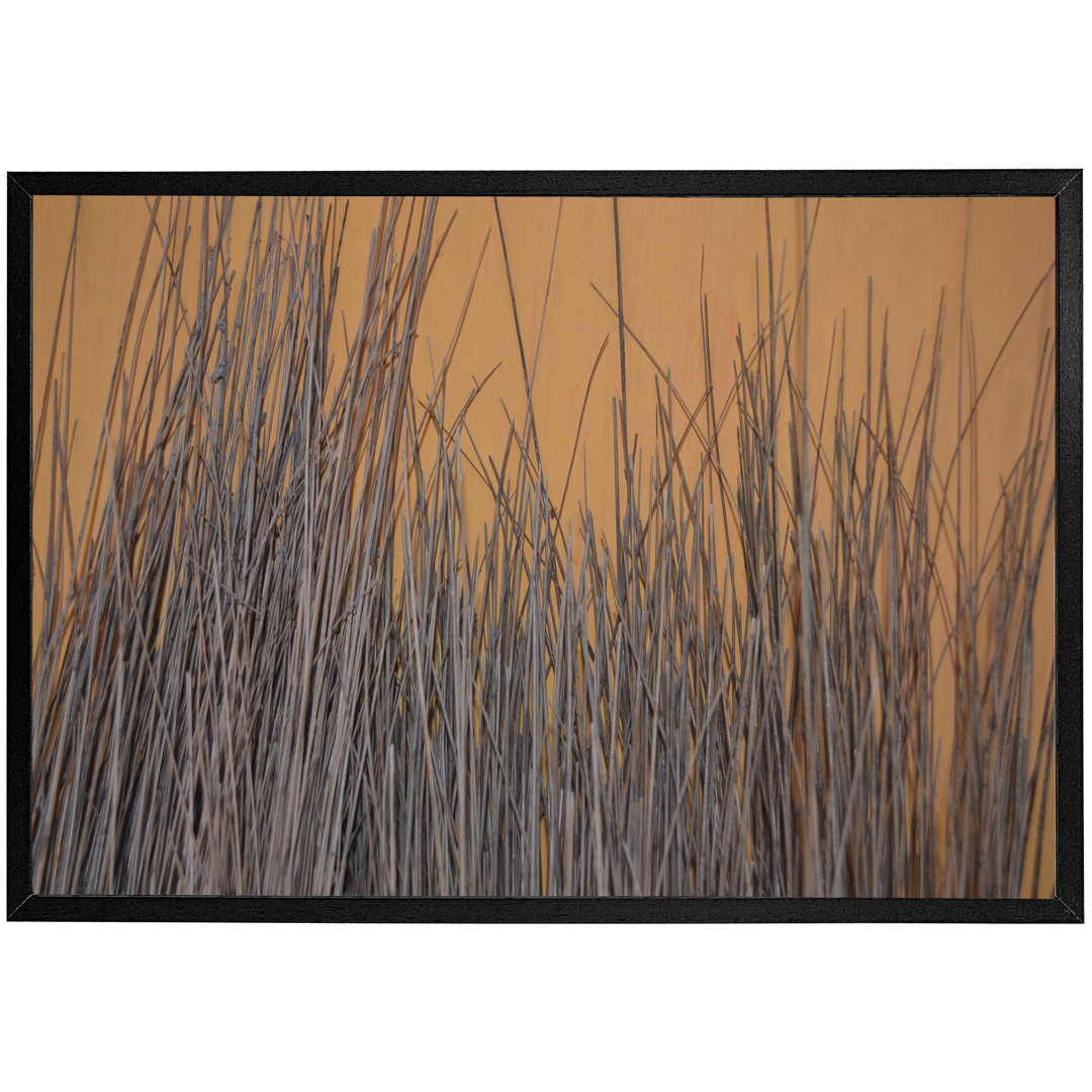 Atzhiri Broom Stick On The Wall - Print
