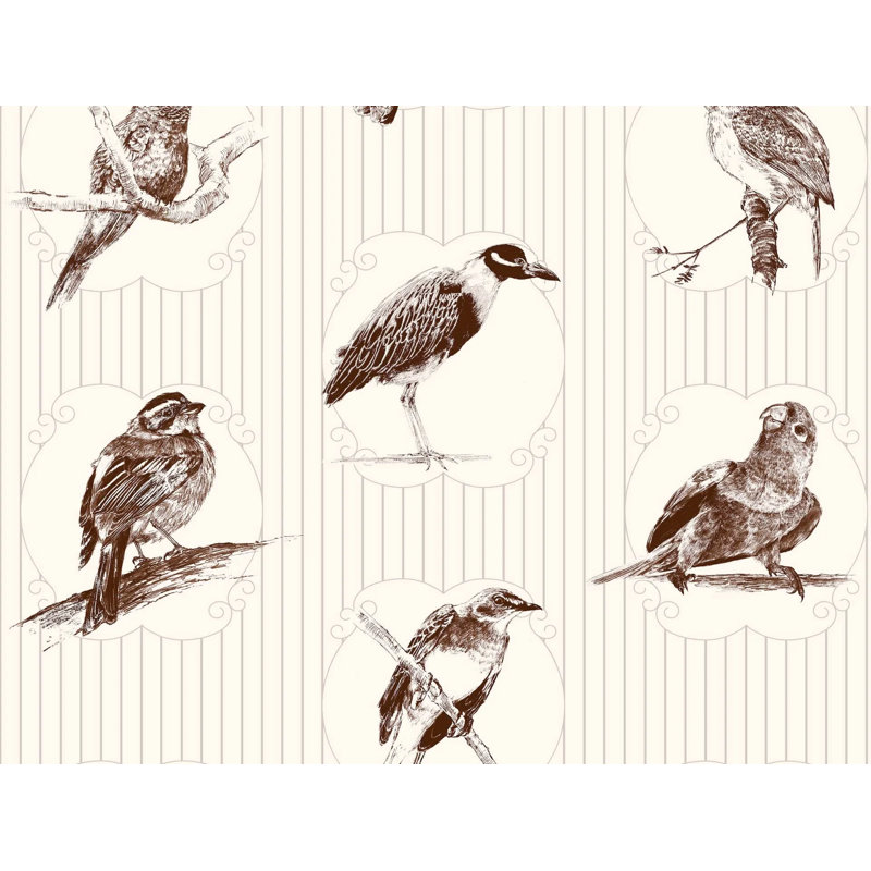 Papier peint oiseaux Makaya d'Haïti, Ivoire Clair Café