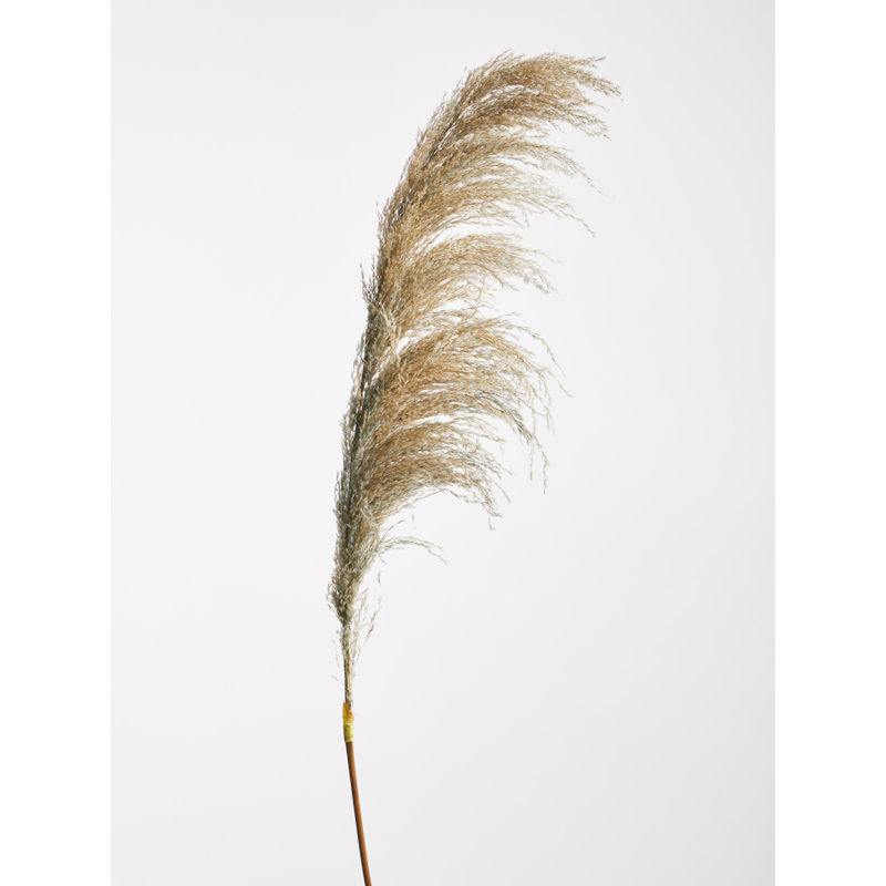 117cm Faux Pampas Grass Grass, Blue