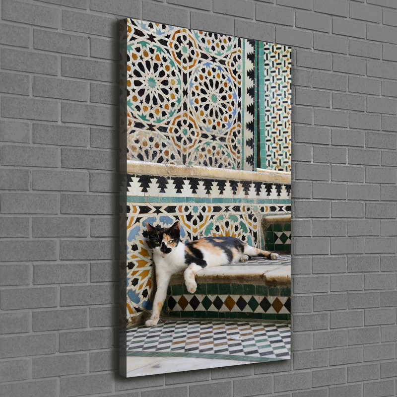 Cat In Morocco - Wrapped Canvas Print