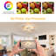 White 69CM LED Dimmable Acrylic Flush Ceiling Light with Remote