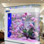 Aquarium moderne en acrylique 55-63 gallons Eco-129577632-129577635