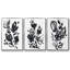 Cameo Bloom I 3 pièces-97758029-97758031