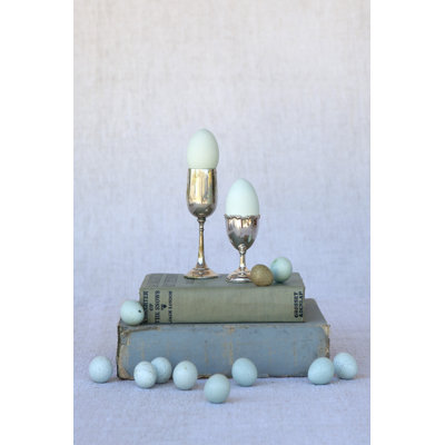 Egg Cups on Books 1 Piece Wrapped Canvas Wall Art