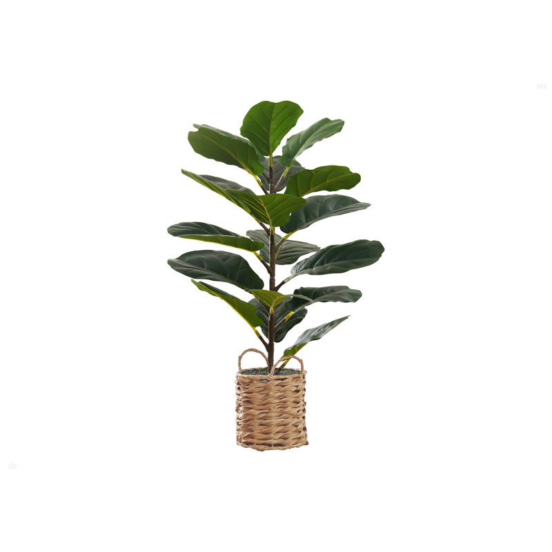 Artificial Plant, 28" Tall, Fiddle Tree, Indoor, Faux, Fake, Floor, Greenery, Potted, Real Touch, Decorative, Green Leaves, Beige Woven Basket