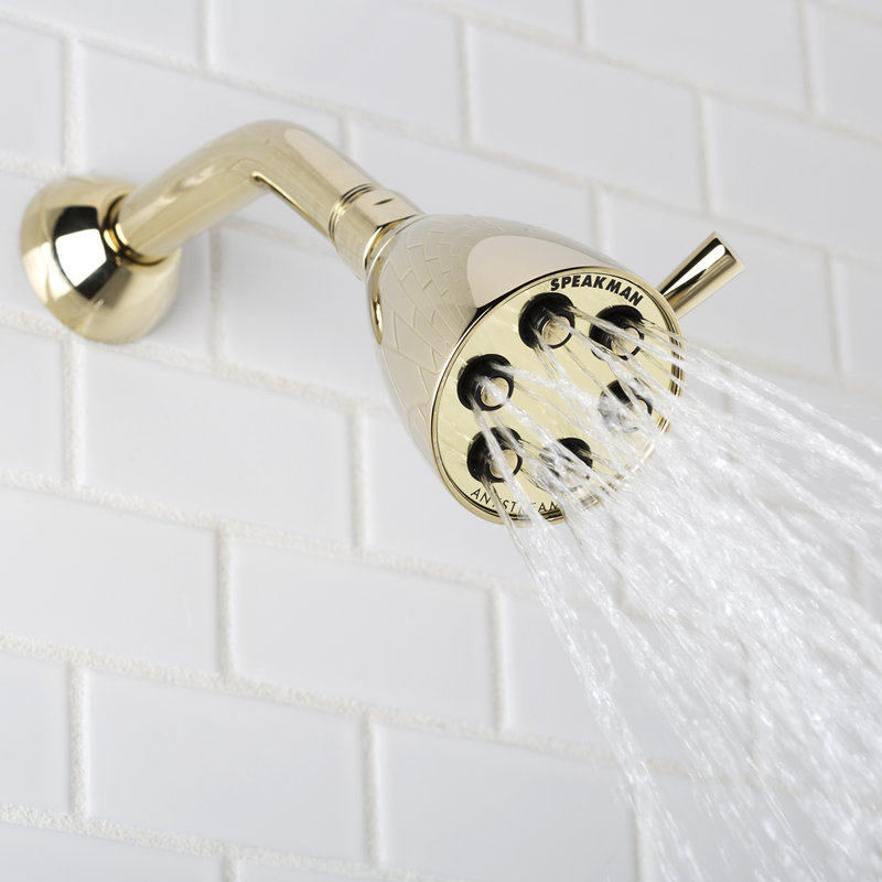 Tête de douche multifonction Icon Anystream, Laiton poli, 2.0 GPM