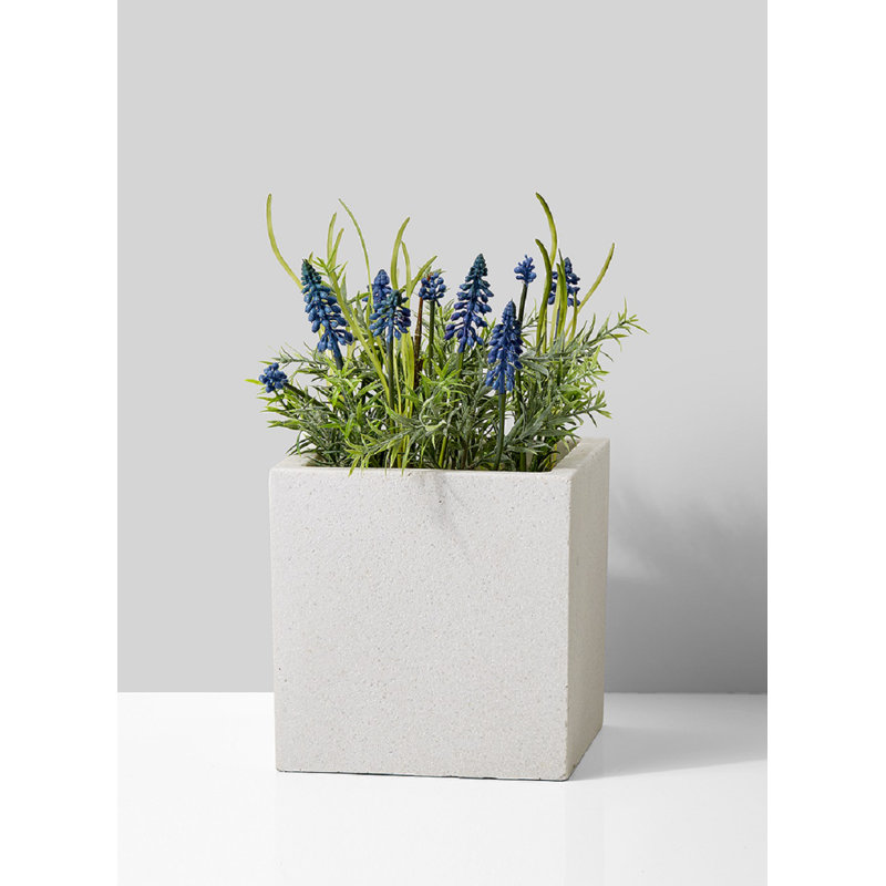Boîte à fleurs Barlo, 7,75 po x 7,75 po x 7,75 po