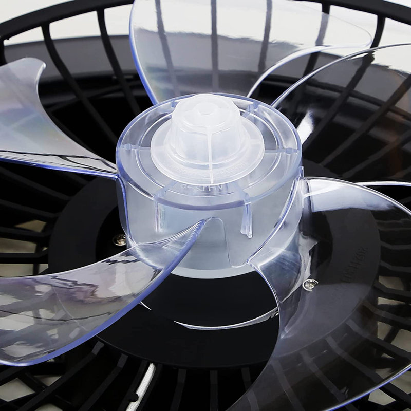 Lamprecht Ceiling Fan with LED Lights