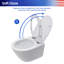 Toilette murale une pièce Rainlex RX-T39W