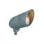 Verde Outdoor 120V Spot Light - Brushed, Verde Green