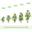 Anjely Faux Agave Plant-474197633