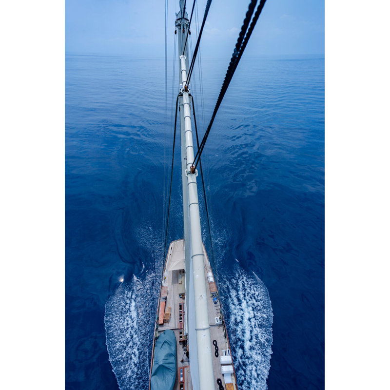 Top Of Mast Print by Frederick, Shawn, White Single Picture Framed