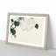 Hydrangea by Kono Bairei - Framed Print-55769189-55769192