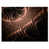 Wrapped Canvas