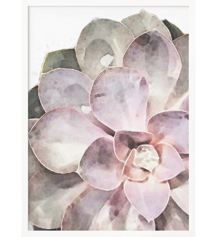 «Succulent Gros plan», art mural texturé encadré, Blanc, H 40 po x l 30 po