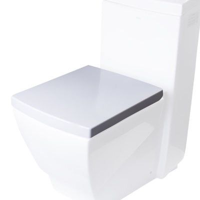 Elongated Toilet Seat