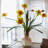 Daffodil Arrangement-60449704