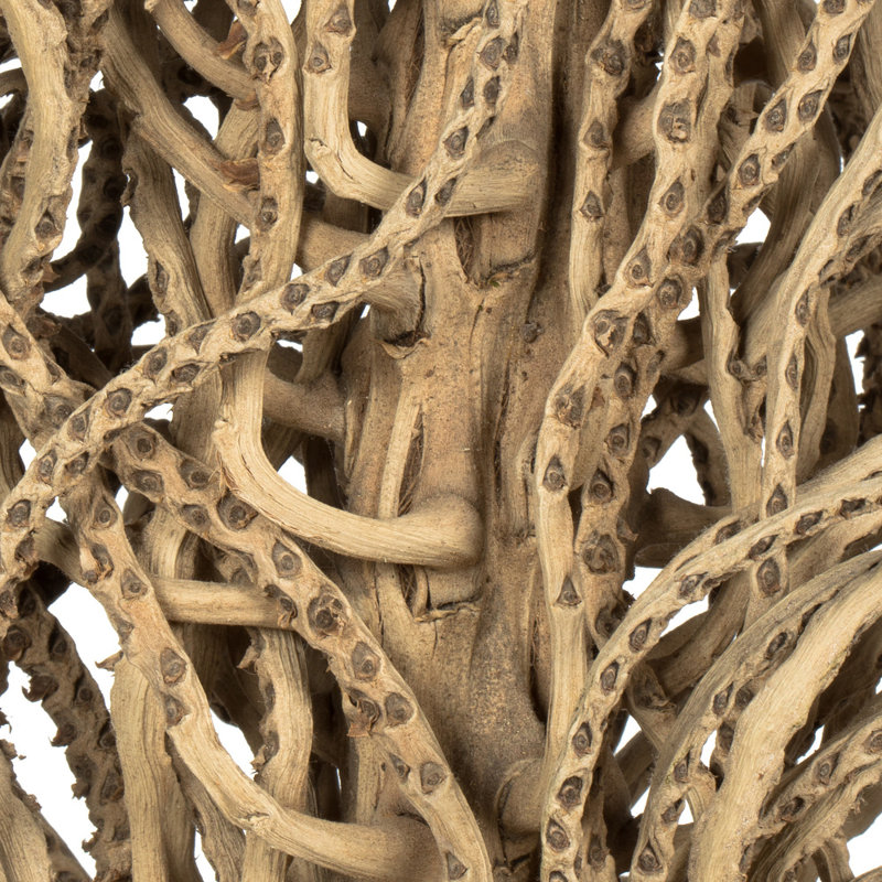 Faux Medusa Branch