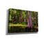 «Spring In The Bayou» par Rick Berk, art mural sur toile-2116619612