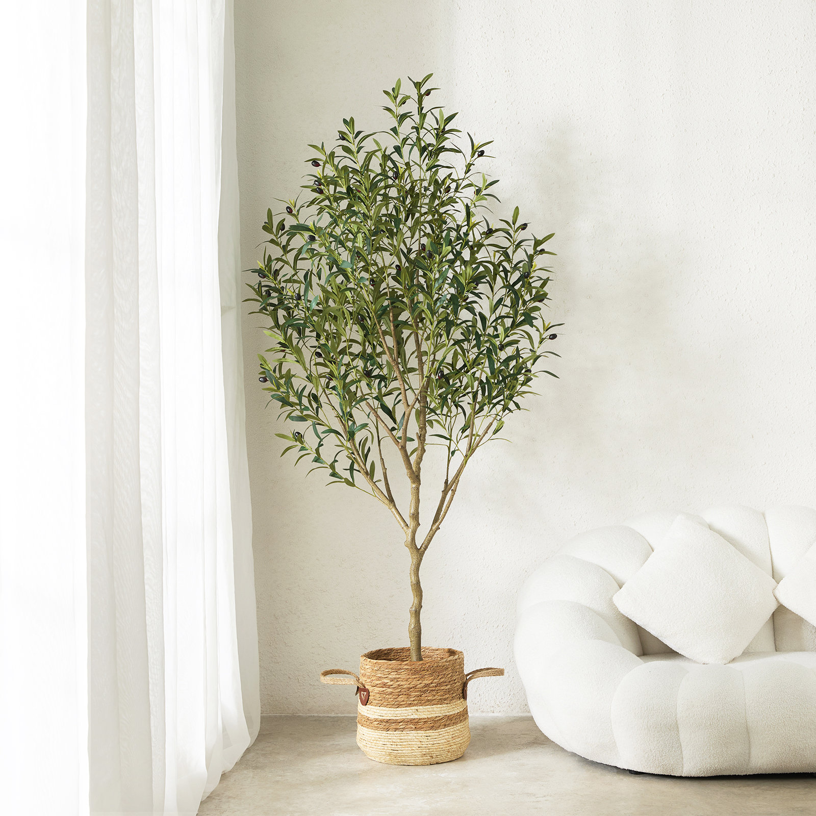 Adcock 72" Olive Tree in Pot, 72" H x 5.50" W x 24" D